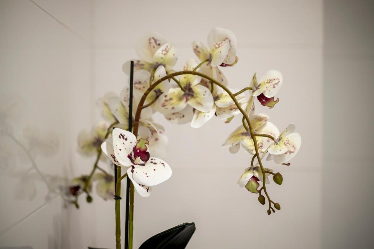 Apartament Laurowa Apartment Tyczyn ภายนอก รูปภาพ